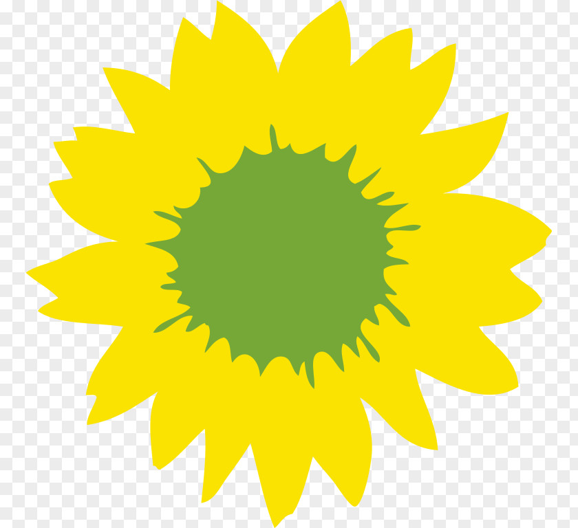 Sunflower Graphics Green Party Of The United States Politics Political European PNG