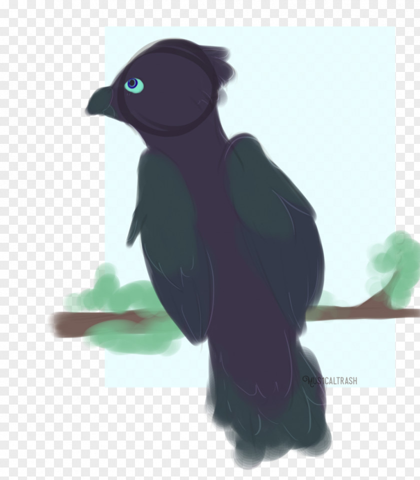 Bird Beak Flightless PNG