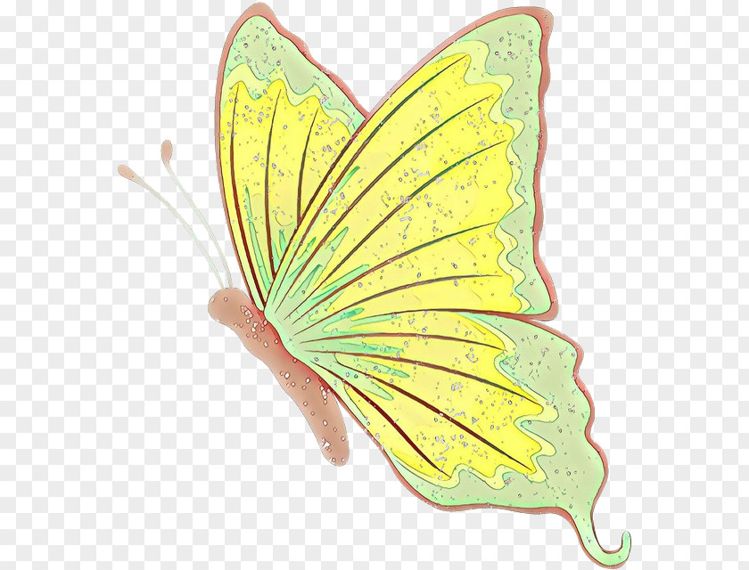 Butterfly Insect Moths And Butterflies Leaf Yellow PNG