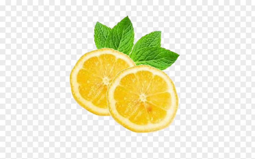 Juice When Life Gives You Lemons, Make Lemonade Mint PNG