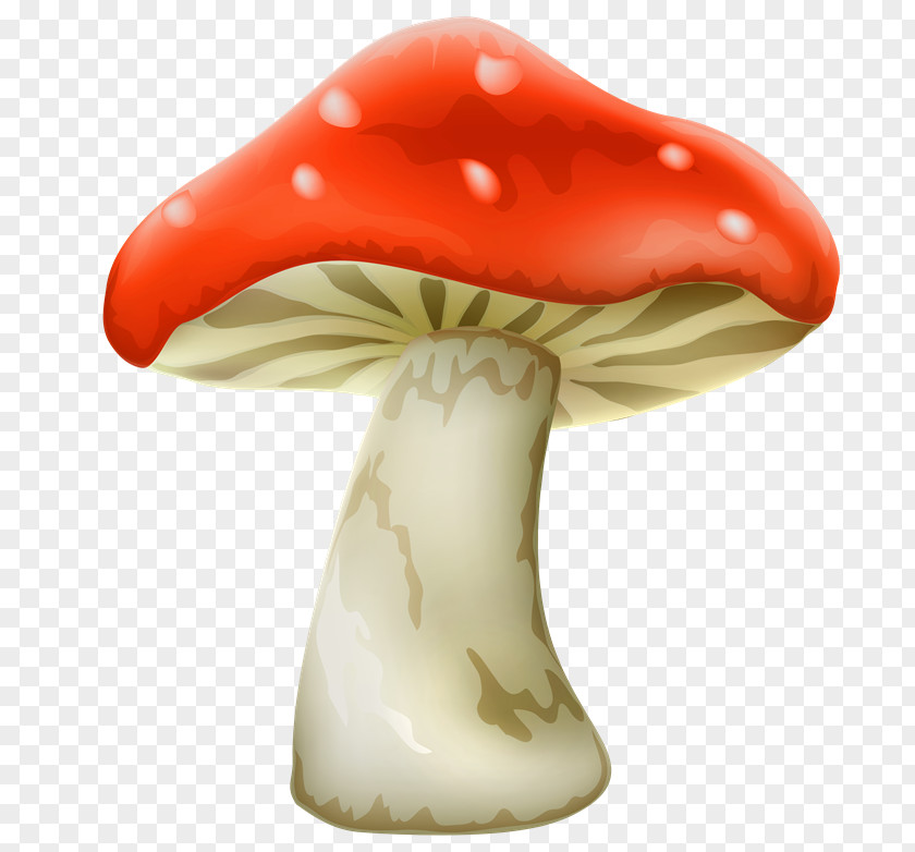 Lamborghini Mushroom Clip Art PNG