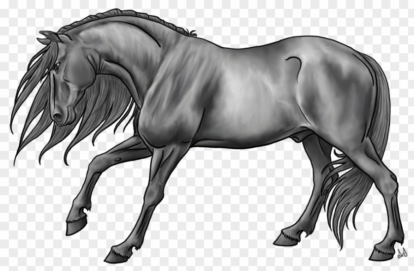 Standing Horse Drawing Pony Digital Art DeviantArt PNG
