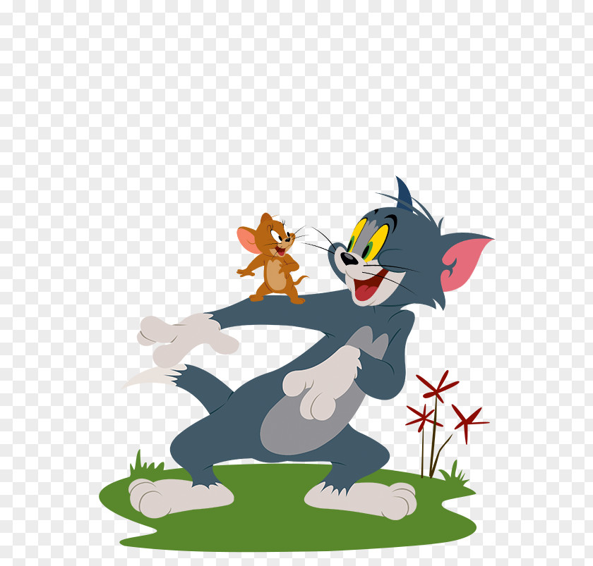 Tom And Jerry Cat Mouse Cartoon Network PNG