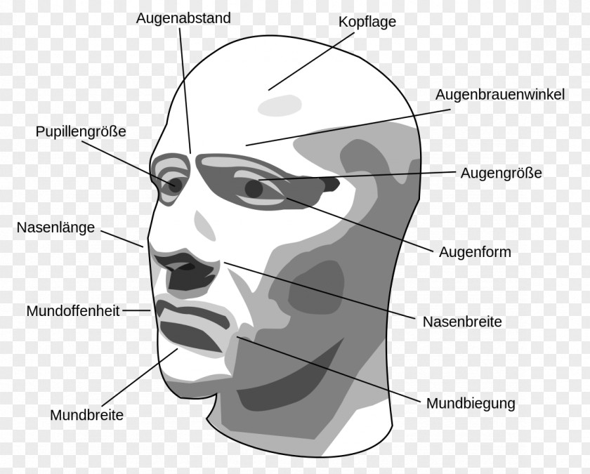 Eye Emotion Recognition Human Ethology Head Skin PNG