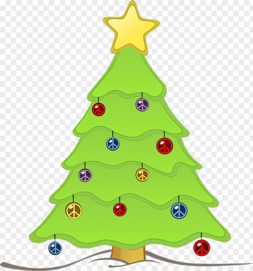 Fir Conifer Christmas Tree PNG