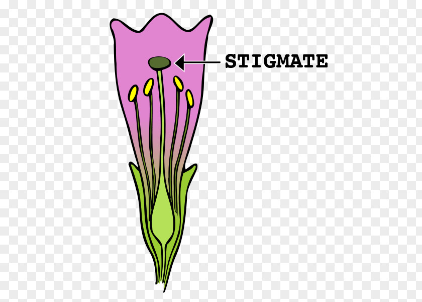 Heavy Metal Facebook Thumb Stigma Flower Clip Art Gynoecium Image PNG