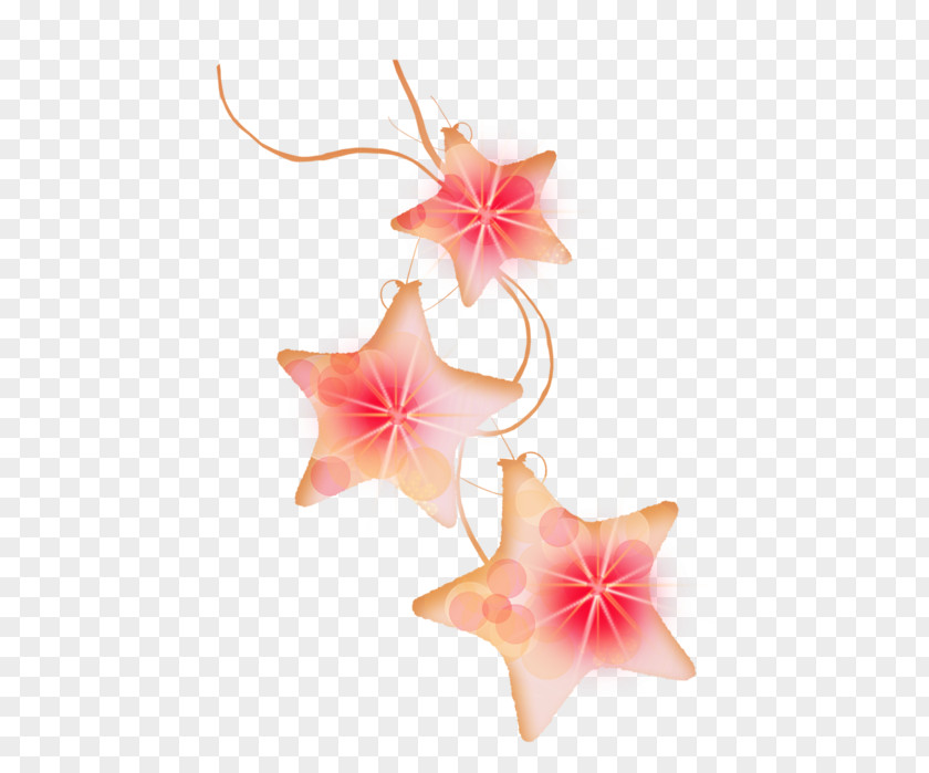 星星 Petal Star PNG