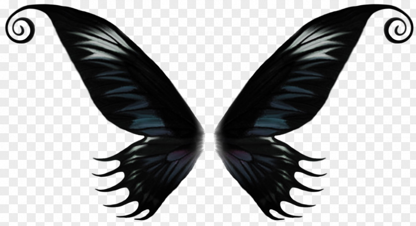 Photography Desktop Wallpaper Butterfly PNG