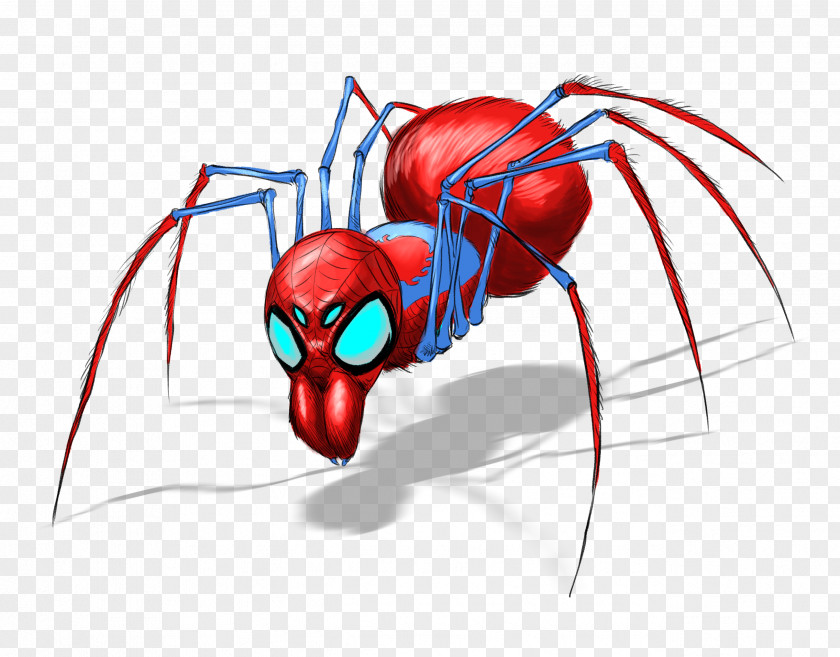 Spider Web Insect Decapoda Muscle Clip Art PNG
