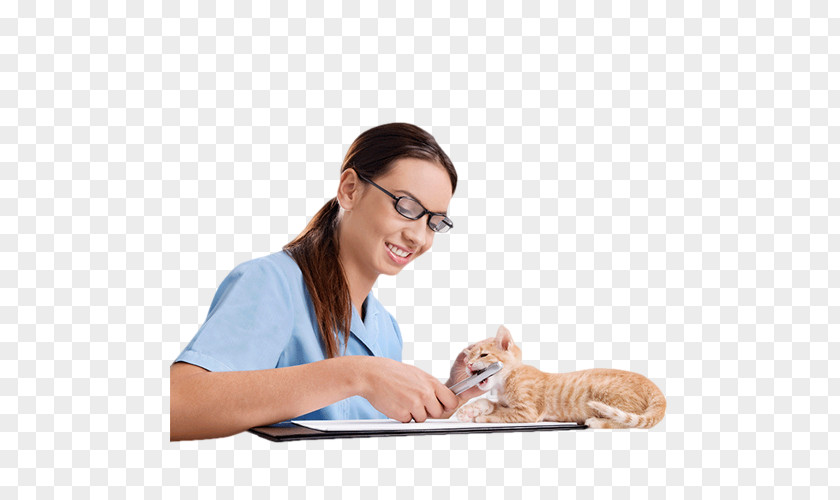 Beauty Pet Doctor Cat Physician PNG