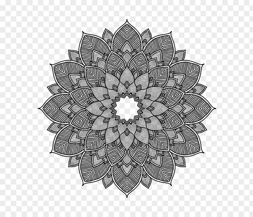 Blackandwhite Petal Pattern Symmetry Flower Plant PNG