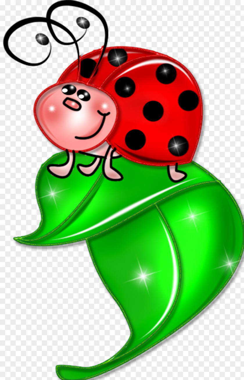 Bugs Ladybird Insect Clip Art PNG