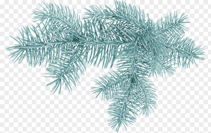 Christmas Tree Spruce Clip Art Pine PNG