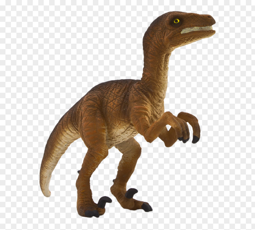 Dinosaur Velociraptor Tyrannosaurus Toy Triceratops PNG