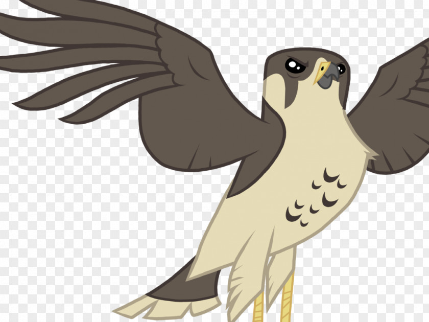 Falcon Vector Hawk Rainbow Dash Pony PNG