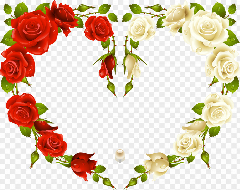 Lovely Text Rose Stock Photography Picture Frames Clip Art PNG