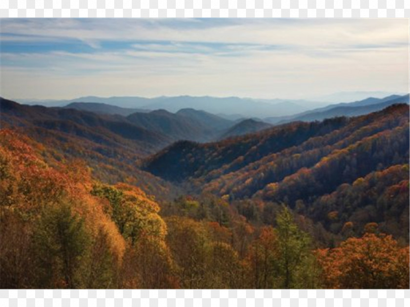 Park Clingmans Dome Knoxville National Hotel PNG