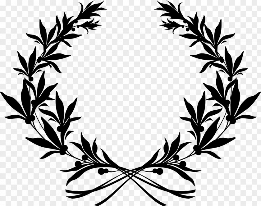 Vector Graphics Clip Art Illustration Stock Photography Olive Wreath PNG