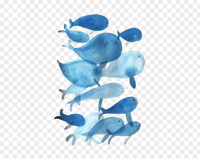 Whale Cartoon Fish Painting Illustration PNG
