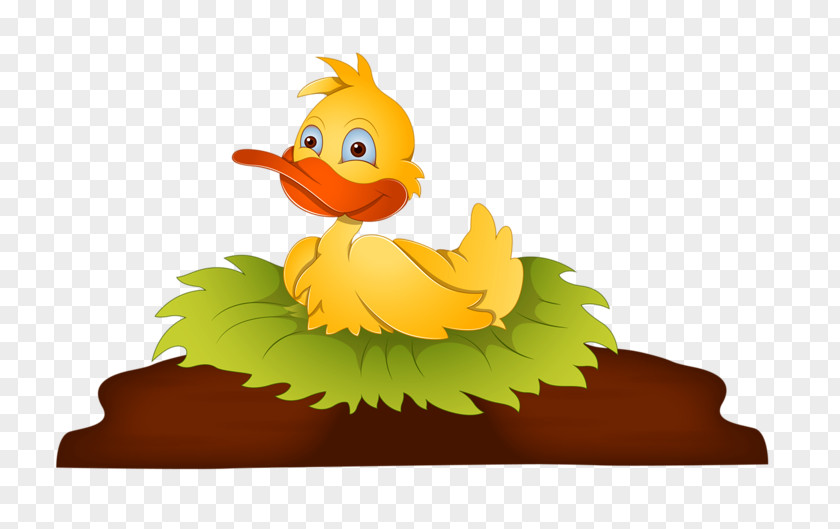 Duck Angry Birds Cartoon Illustration PNG