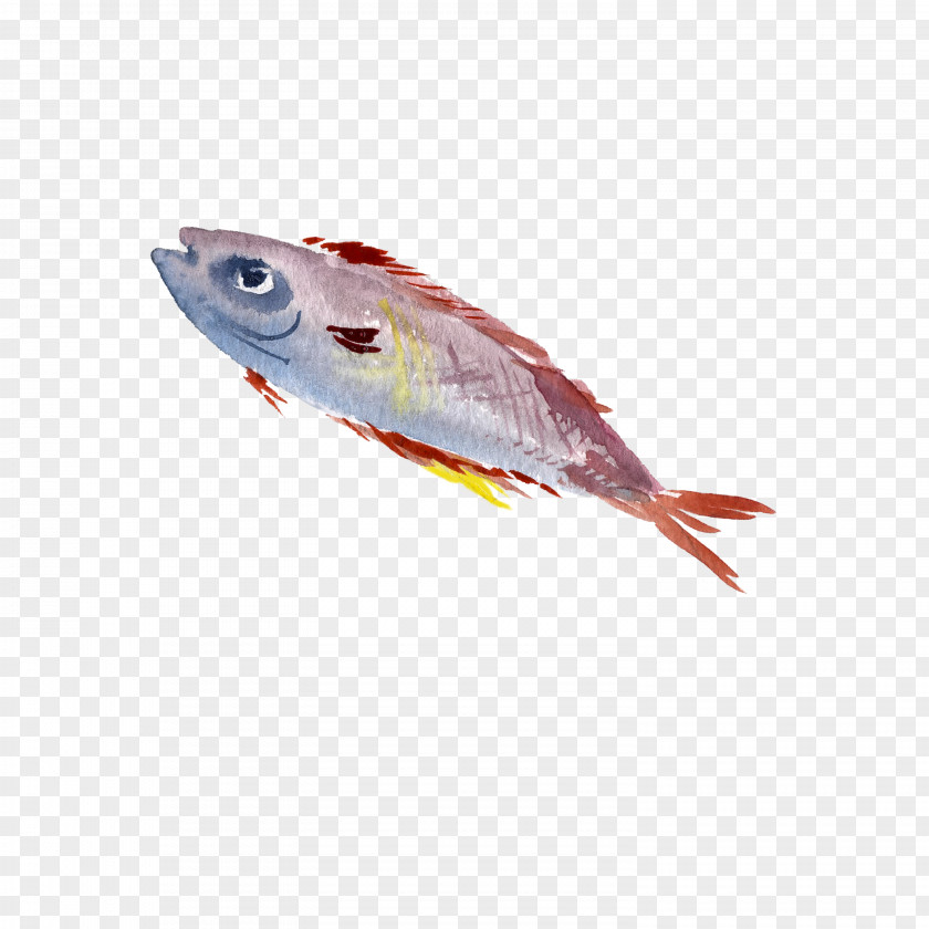 Painted Fish Painting Drawing PNG