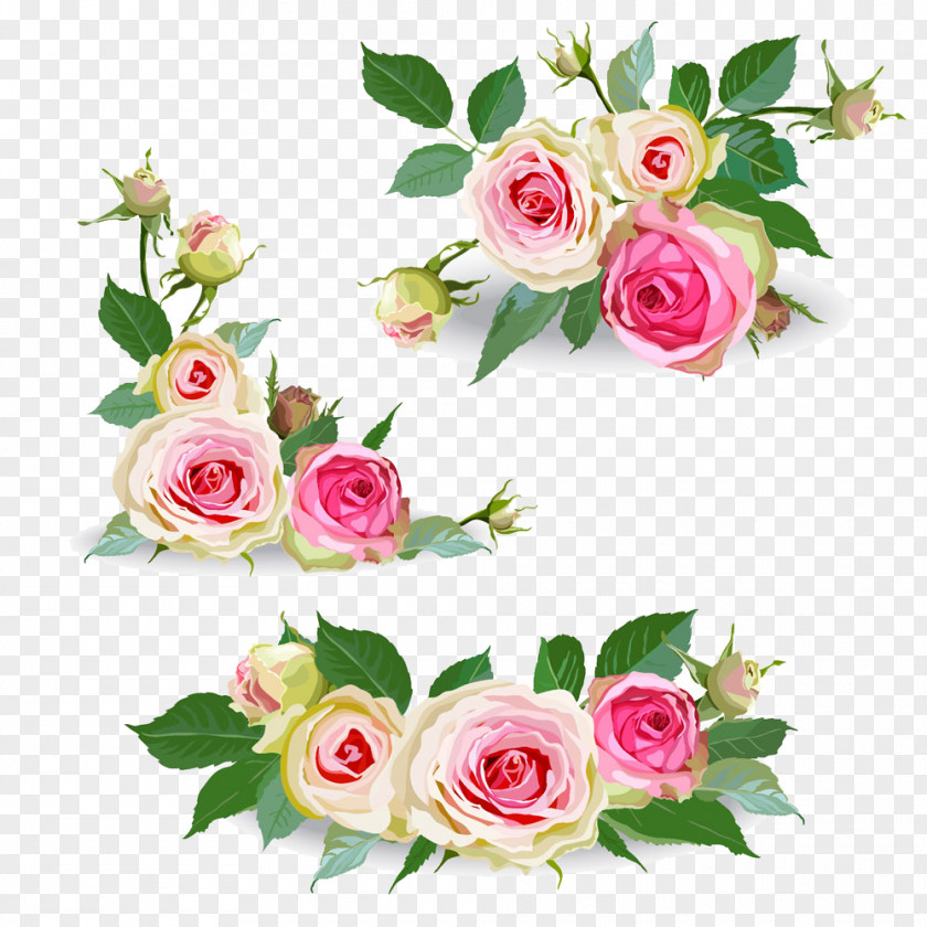 Pink Flowers PNG