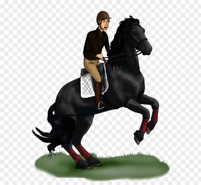 Quirky Hunt Seat Stallion Dressage Horse Rein PNG