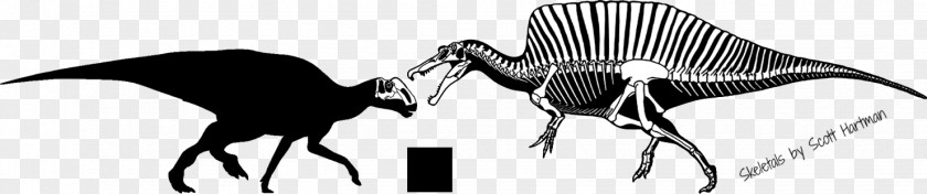 Skeleton Dinosaur Fossil Joint Skull Art PNG