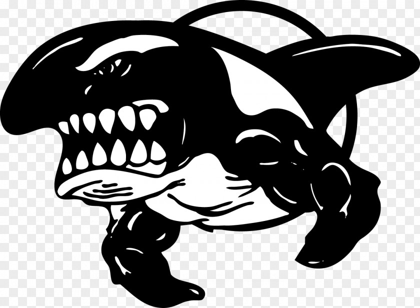 Killer Whale Drawing Logo Clip Art PNG