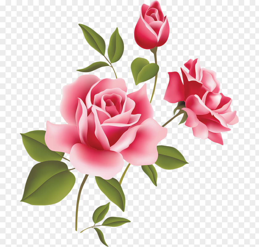 Pink Rose Art Picture Clipart Clip PNG