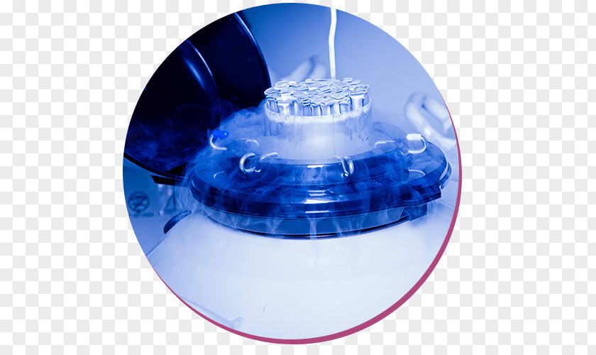Artificial Insemination Laboratory Liquid Nitrogen Semen PNG