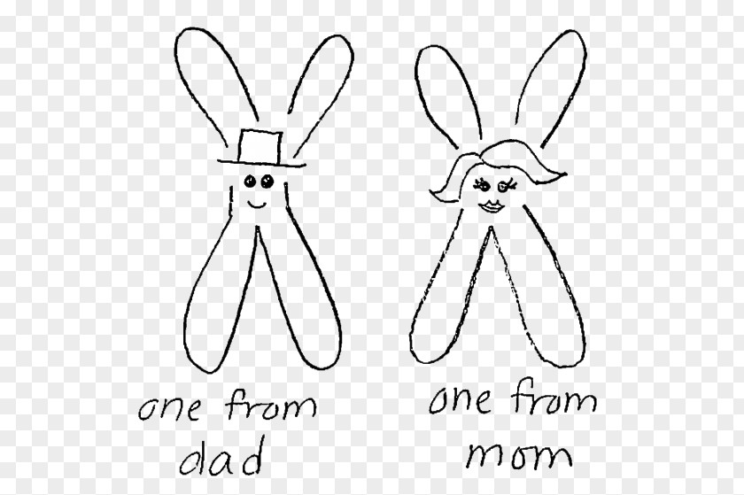 Chromosome Structure Domestic Rabbit Genetics Drawing PNG