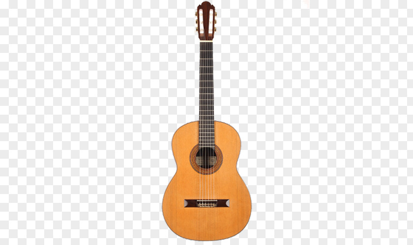 Guitar Electric Flamenco Acoustic PNG