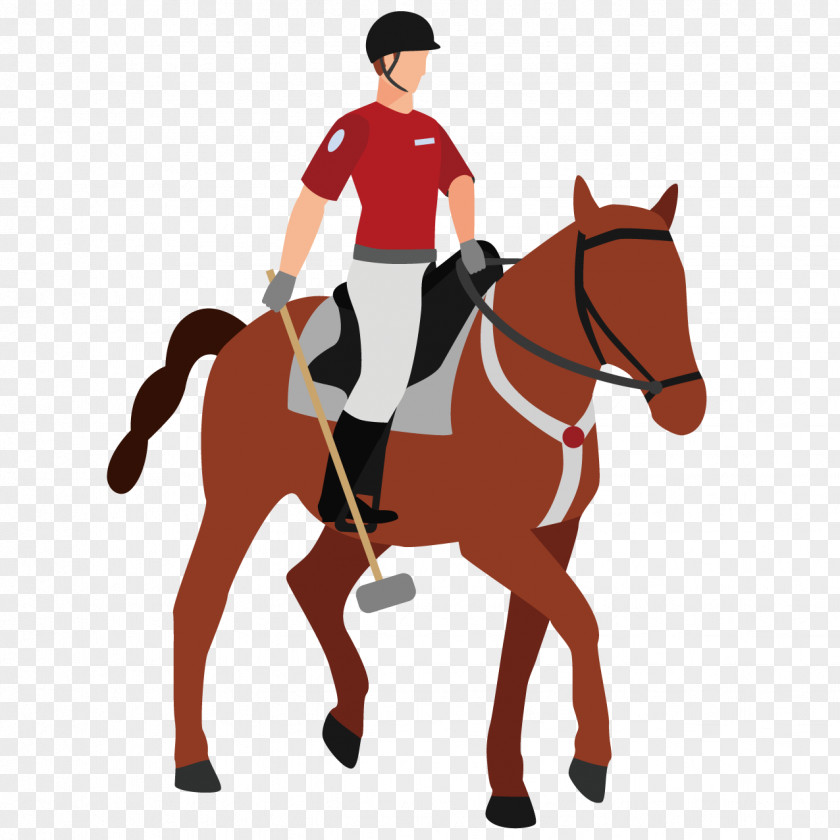 Handsome Knight Mustang English Riding Pony Equestrianism Mounted Police PNG