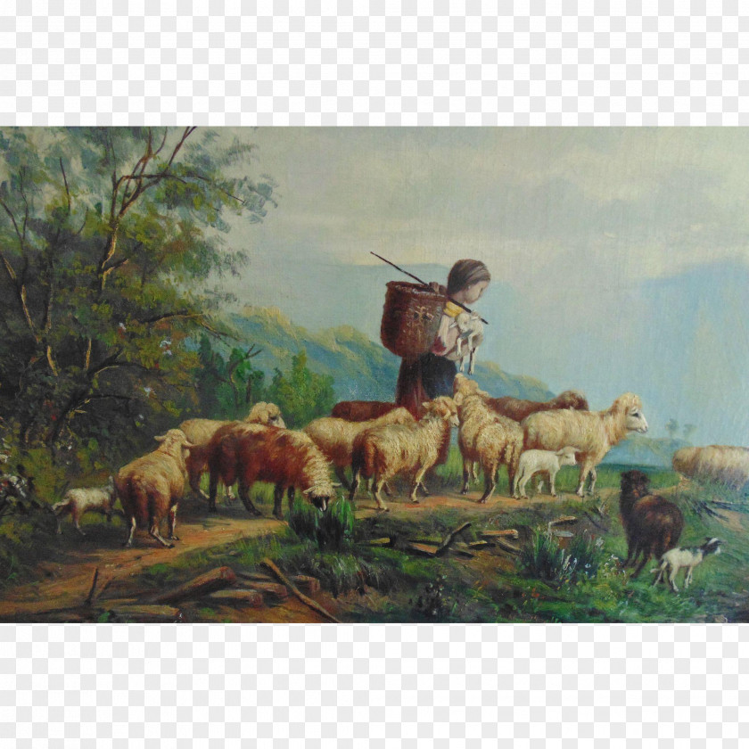 Sheep Young Shepherdess Painting Cattle PNG