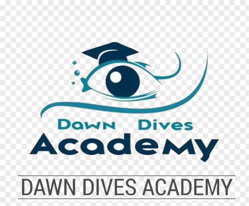 Dawn Dives Academy Hotel THB Tropical Island Harbor Playa Blanca Professional Association Of Diving Instructors PNG