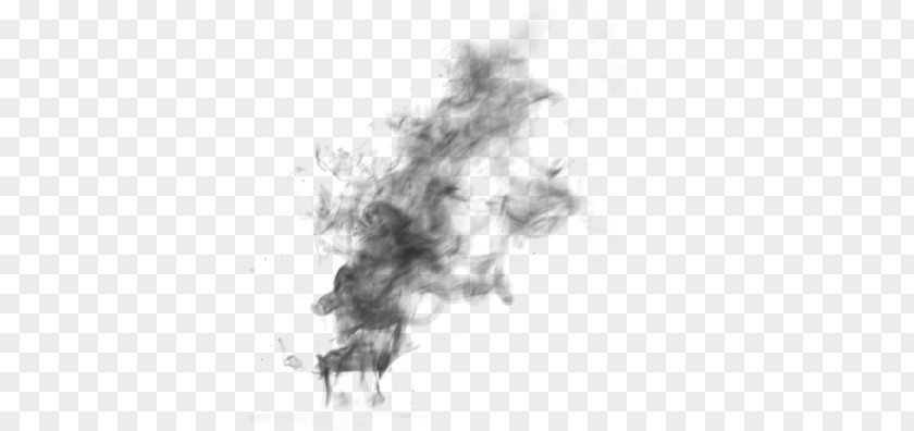 Smoke Effect Black PNG clipart PNG