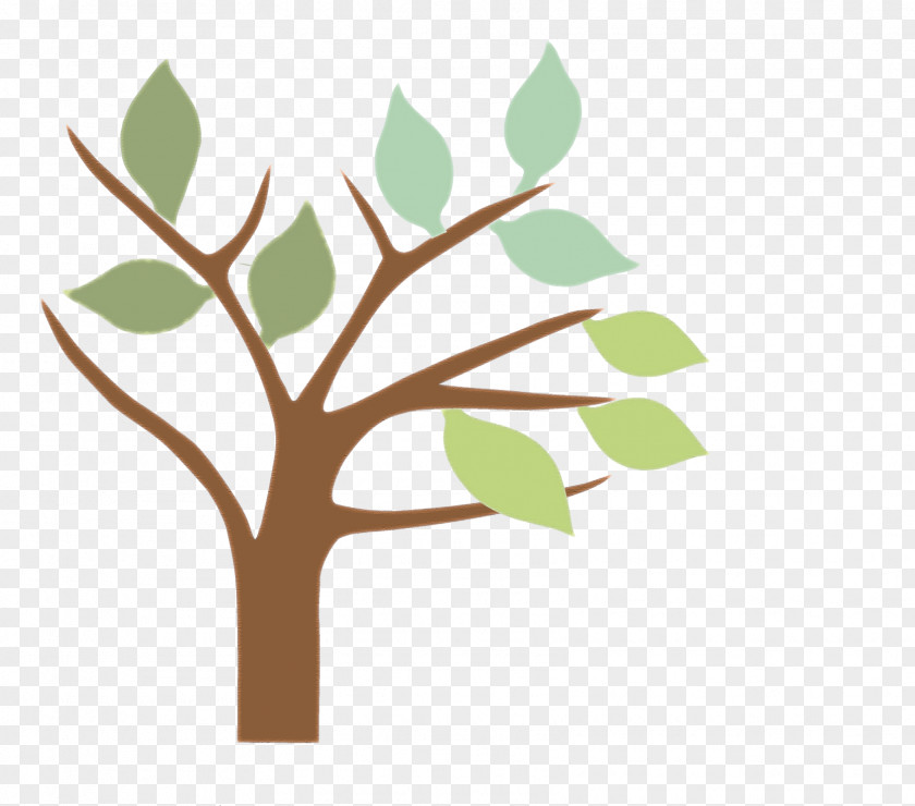 Tree-lined Tree Branch Twig Plant Leaf PNG