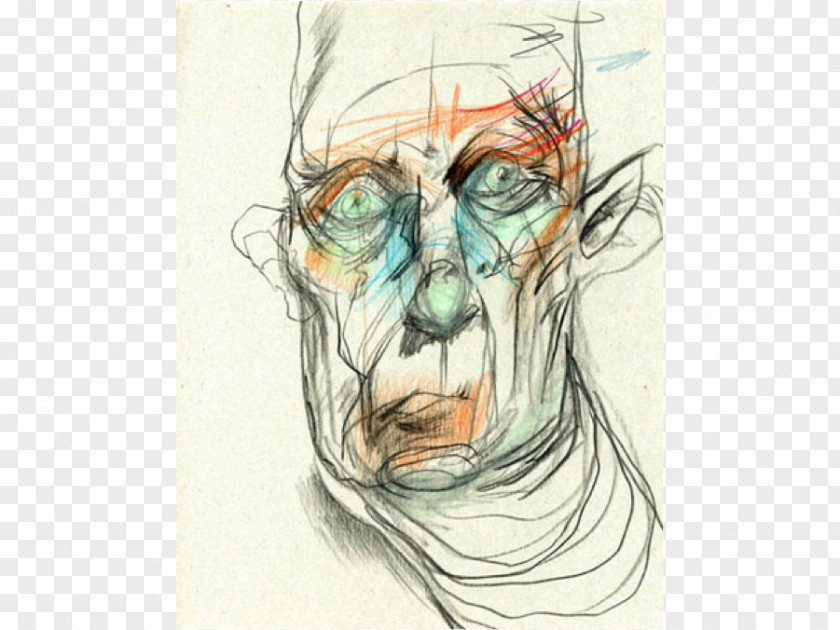 Blind Contour Drawing Figure Sketch PNG