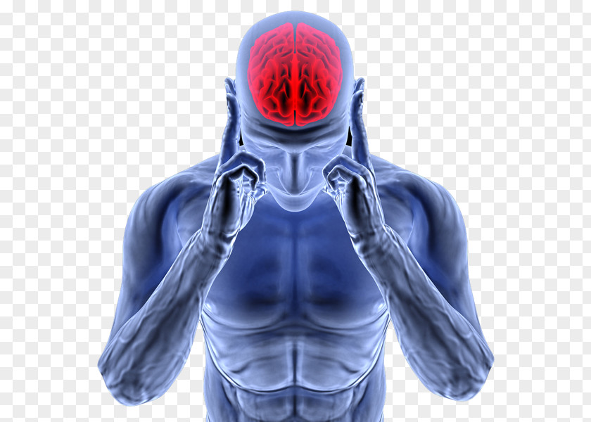 Brain Tension Headache Migraine Norepinephrine PNG