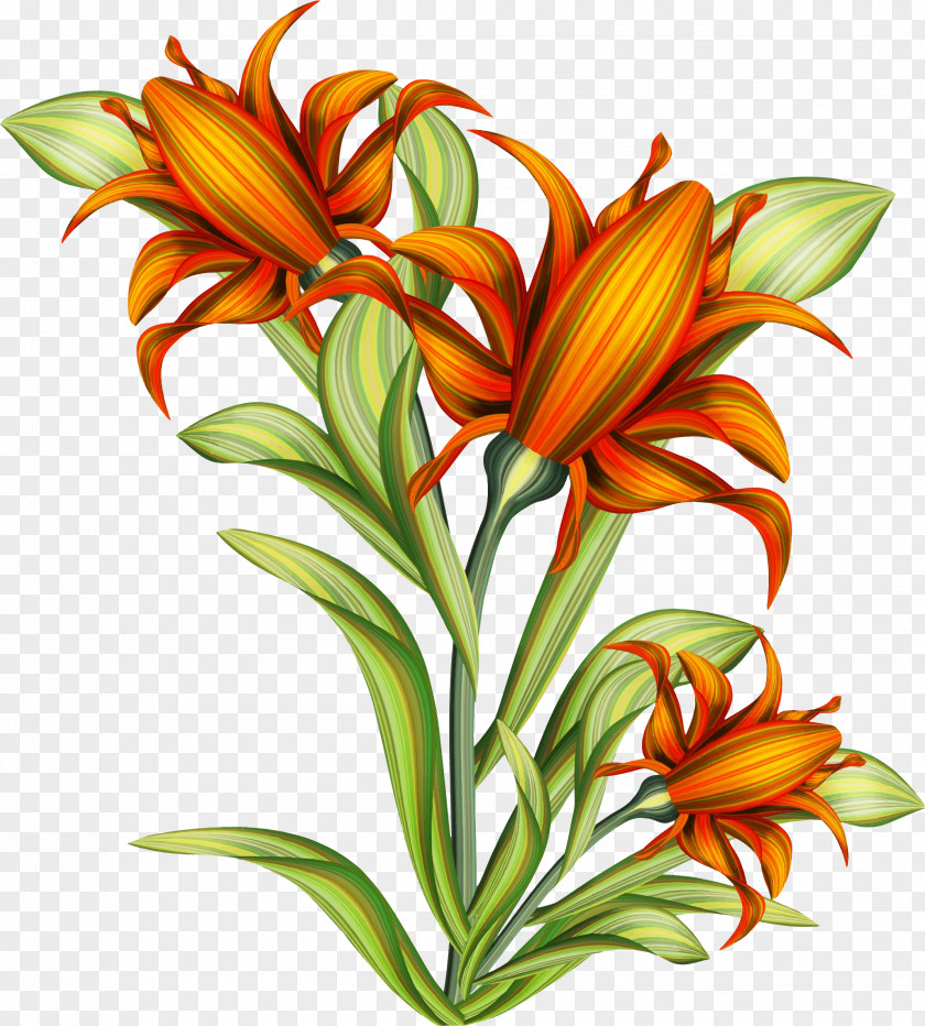 Flower Drawing Clip Art PNG