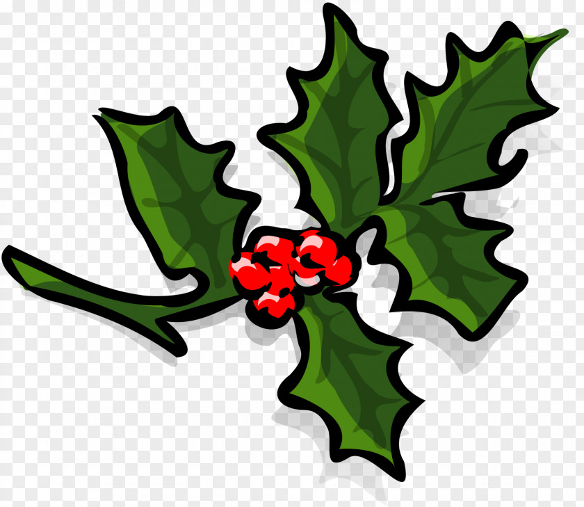 Holly Vector Christmas Clip Art PNG
