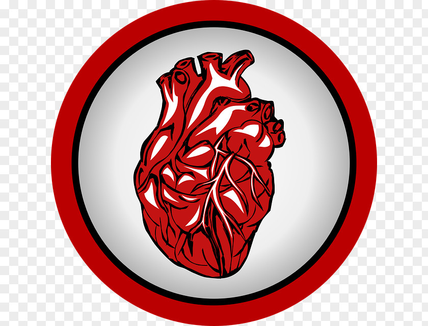 Round Red Heart Icon Cardiovascular Disease Blood Pressure PNG