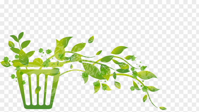 Abatement Illustration Leaf Greens Plant Stem Herb Font PNG