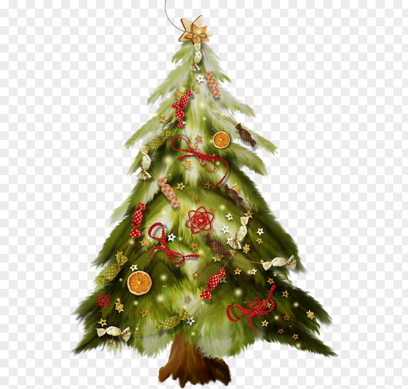 Christmas Tree Festival Santa Claus Gift PNG