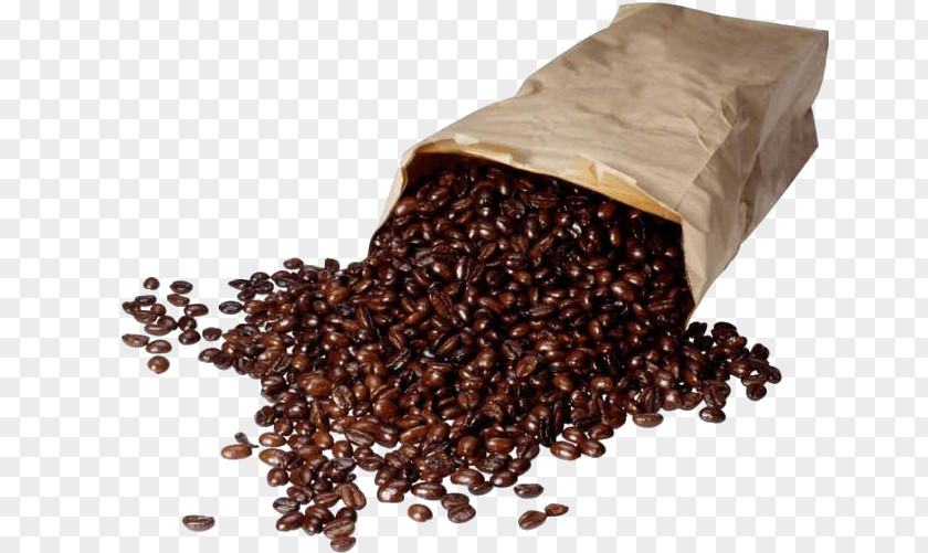 Coffee Bean Kopi Luwak Cafe Espresso PNG