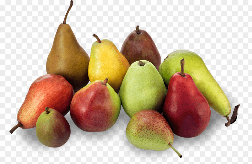 Health Williams Pear D'Anjou Crisp Variety Fruit PNG