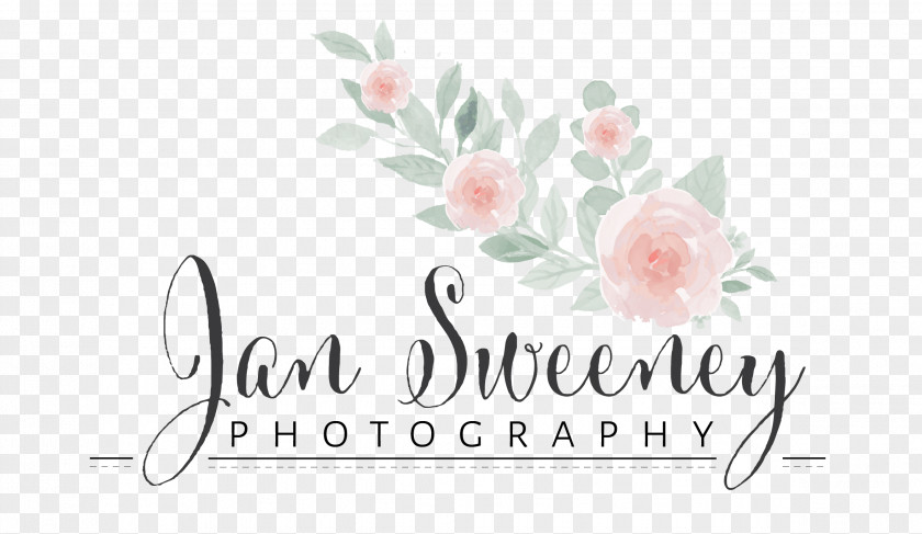 Java Script Floral Design Logo Brand Font PNG