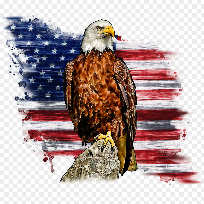 T-shirt Bald Eagle Liberty Bell Flag Of The United States PNG