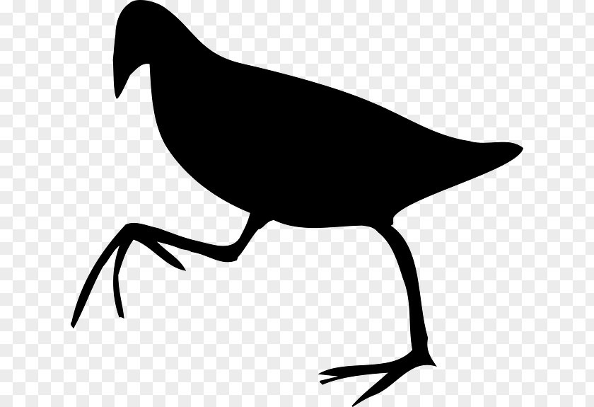 Beak Clip Art Bird Silhouette Line PNG